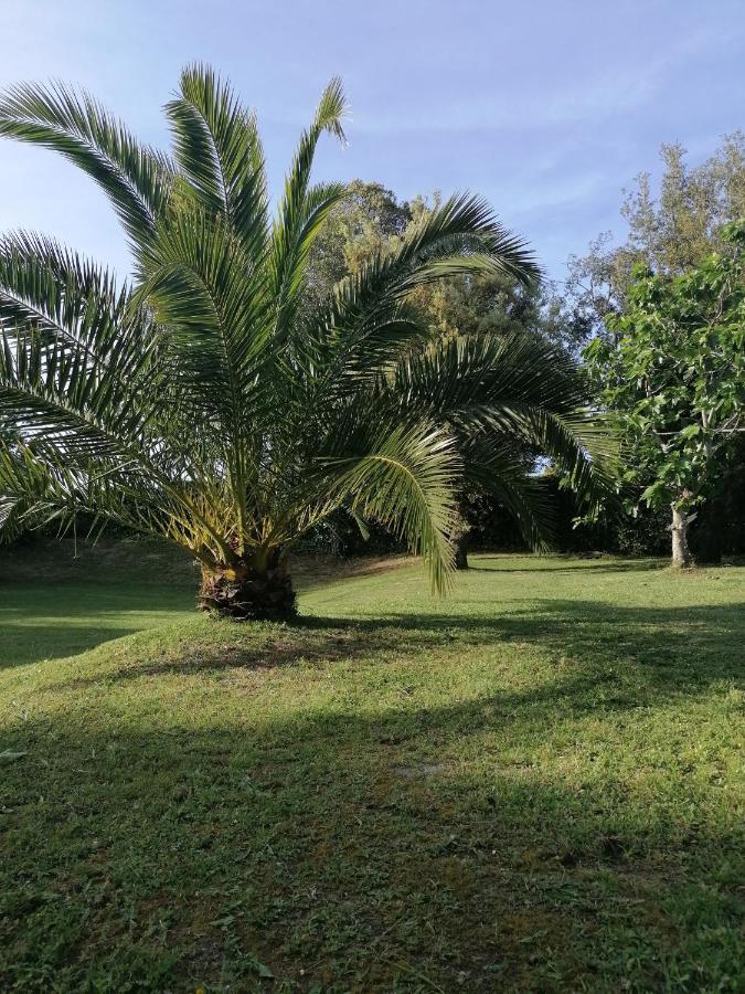 Villa El Encinar De Noja Bagian luar foto